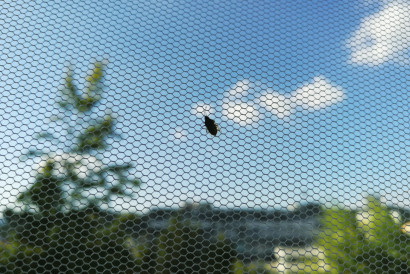 Москитные сетки — фото-782_1